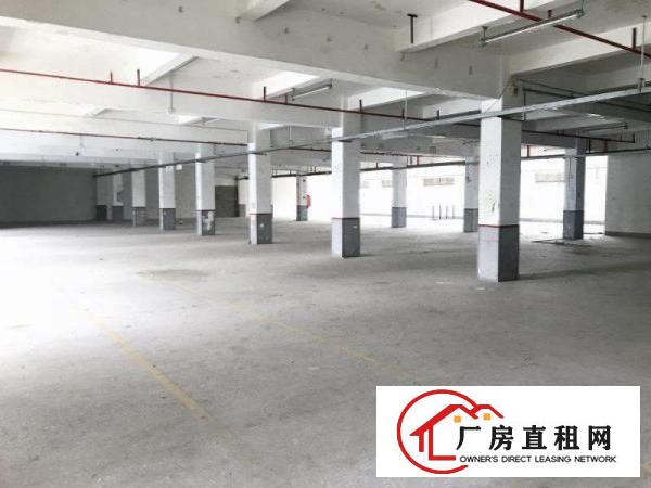  超低价！西坑工业区新出860平，厂房出租