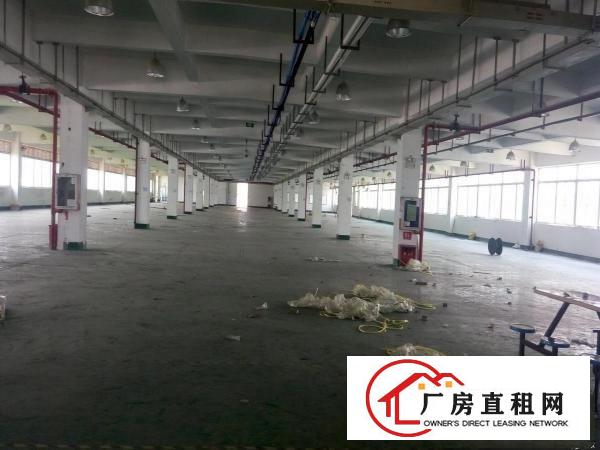  横岗地铁站大型产业园招租，200平起租！！