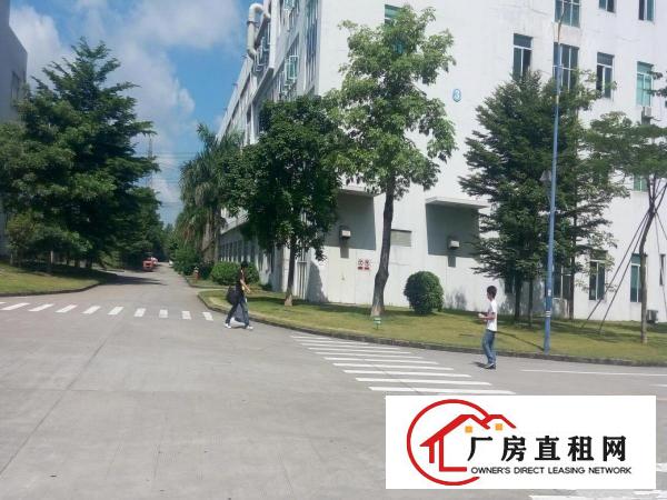  横岗地铁站大型产业园招租，200平起租！！