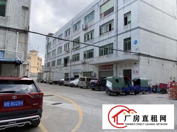 红棉路四联一楼标准厂房1000平方出租.可分租