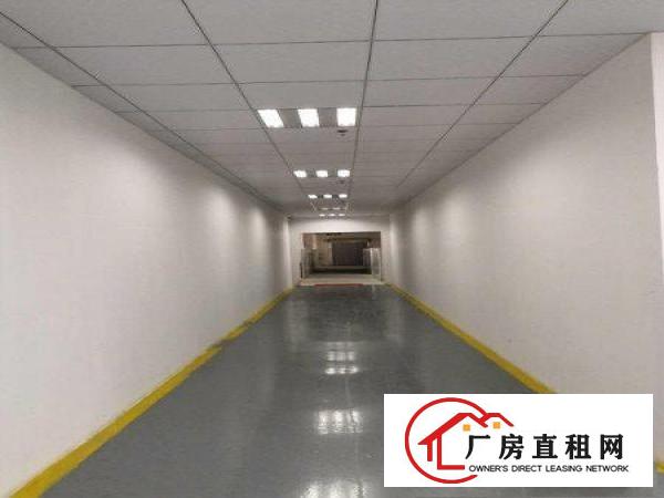  横岗六约稀缺小独院原房东带精装修出租大小可分租