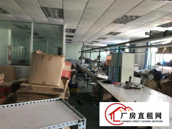  横岗六约稀缺小独院原房东带精装修出租大小可分租