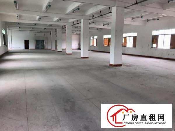  横岗六约工业区全新标准厂房仓库写字楼12000平方出租。