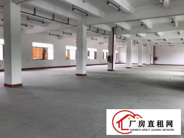  横岗六约工业区全新标准厂房仓库写字楼12000平方出租。