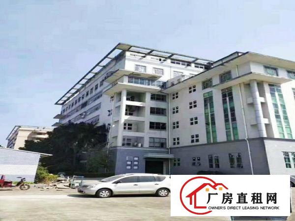  横岗六约工业区全新标准厂房仓库写字楼12000平方出租。