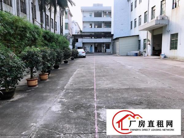  横岗安良独院厂房仓库分组一楼2300平方出租