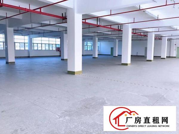  横岗安良独院厂房仓库分组一楼2300平方出租