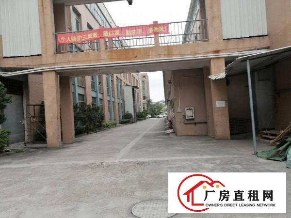  横岗西坑新出一楼350平米出租