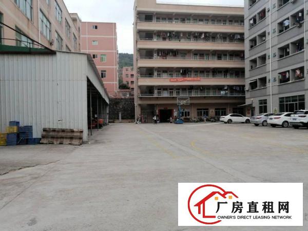  横岗西坑新出一楼350平米出租