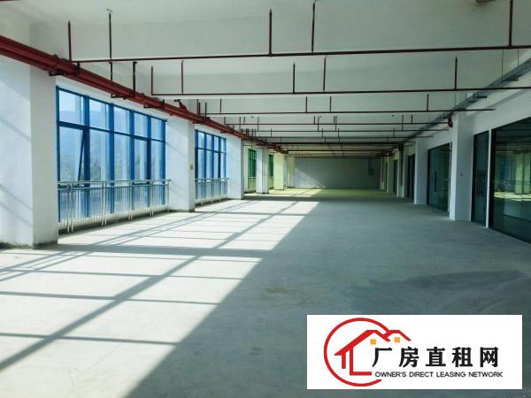 龙岗地铁口全新独立园区厂房业主特价直租
