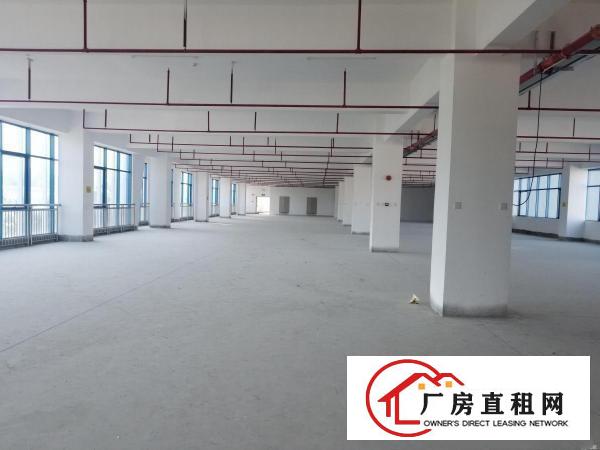  碧桂园产业龙岗宝龙工业区400平米起全新厂房出租