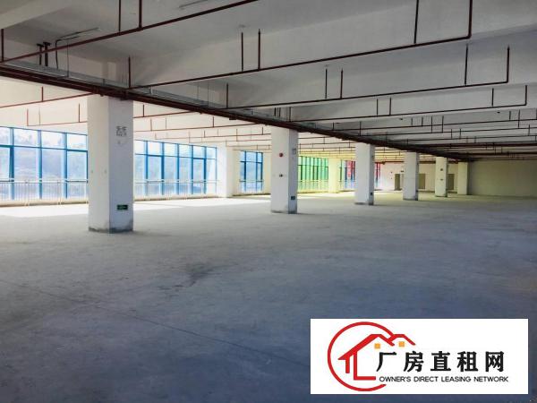  龙岗地铁口重点园区独立红本厂房业主直租
