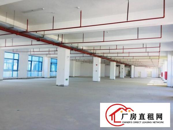  龙岗地铁口重点园区独立红本厂房业主直租