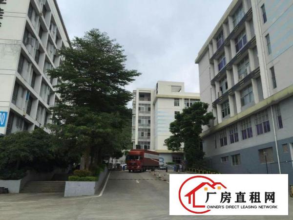  横岗永湖地铁站无公摊原房东整层2250平米