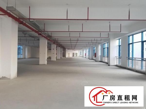  龙岗红本精装厂房出租。面积可分割