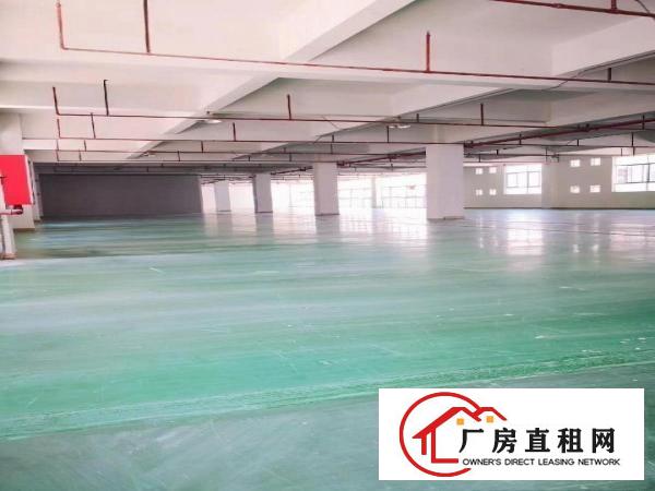  龙岗横岗四联新出楼上1200平厂房出租带精装修水电齐全无公摊