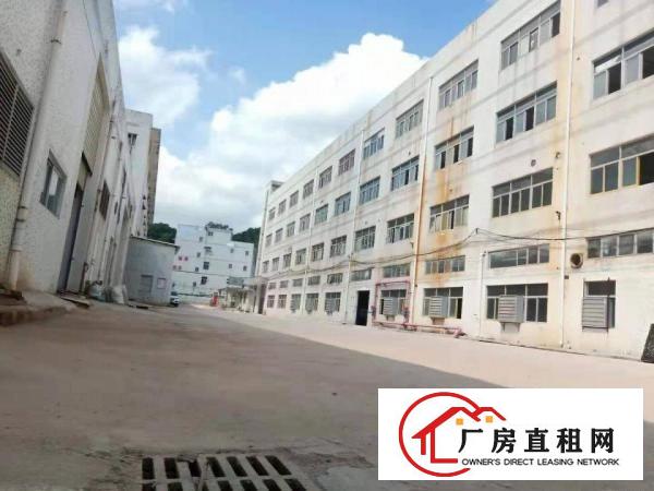  原房东横岗红本独院厂房招租单层4100平方大小分租