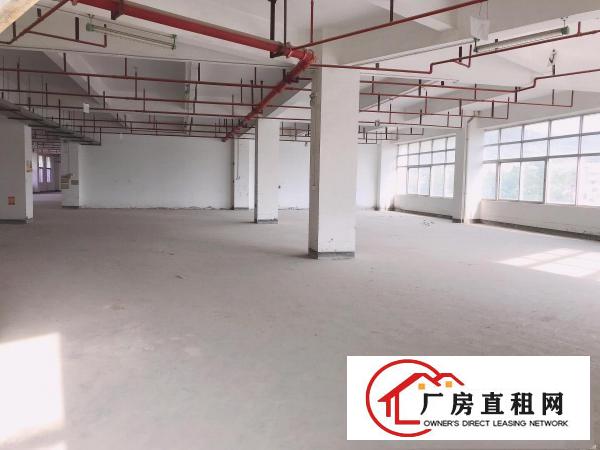  大康社区新出工业园带装修850平厂房仓库出租，空地大