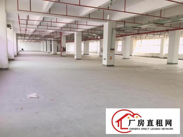  大康社区新出工业园带装修850平厂房仓库出租，空地大