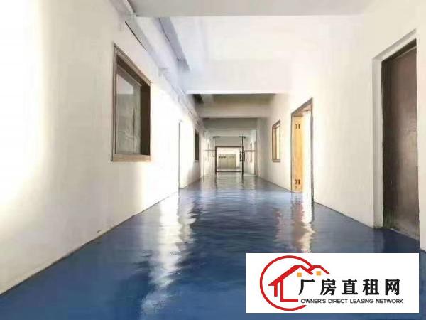  横岗沙荷路旁新出带精装修3000平独门独院厂房出租