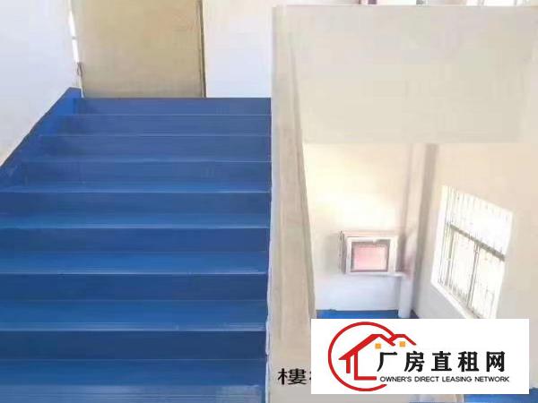  横岗沙荷路旁新出带精装修3000平独门独院厂房出租
