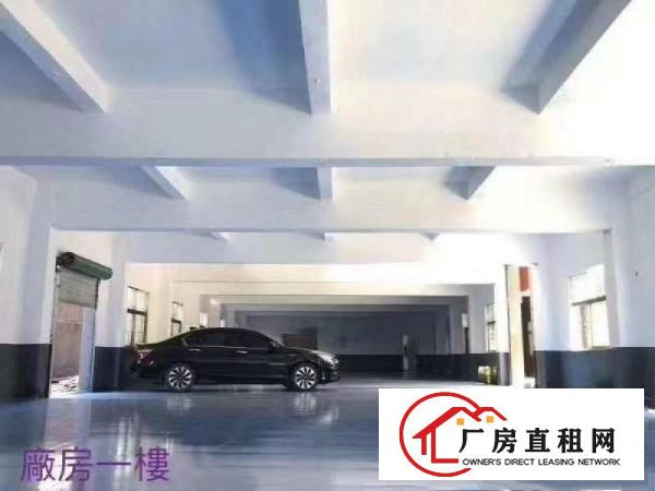  横岗沙荷路旁新出带精装修3000平独门独院厂房出租