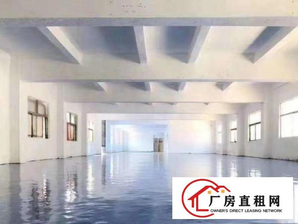  横岗沙荷路旁新出带精装修3000平独门独院厂房出租