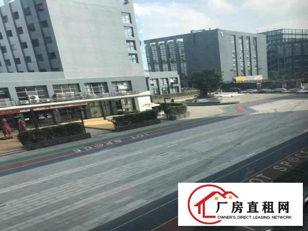 坂田独门独院11000平适合各种行业