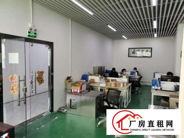  出租龙岗区坂田金源科技园精装厂房/仓库免转让费