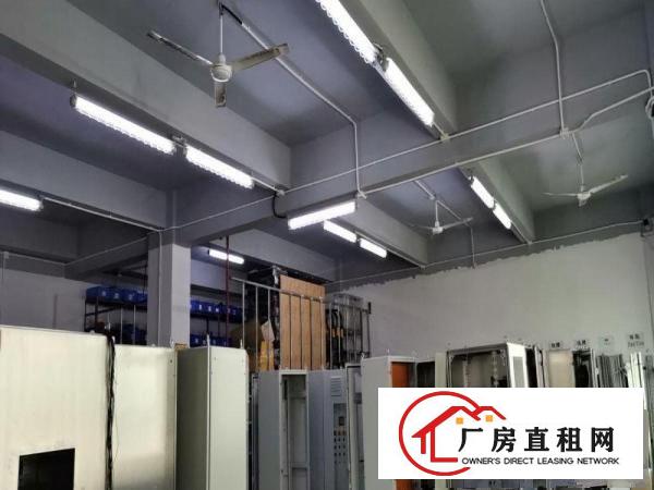  出租龙岗区坂田金源科技园精装厂房/仓库免转让费