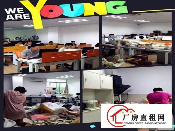  新装修办公室分租，希望合租者为电商行业