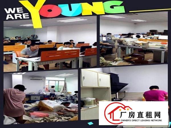  高档装修寻办公室合租电商业为佳