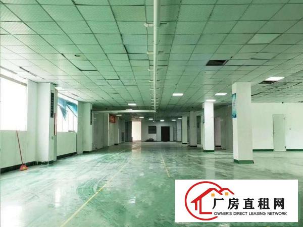  出租龙岗区坂田可办公/可生产/可做联合办公