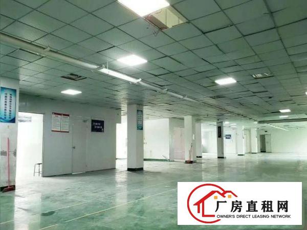  出租龙岗区坂田可办公/可生产/可做联合办公