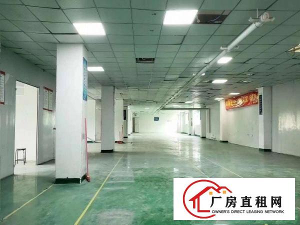  出租龙岗区坂田可办公/可生产/可做联合办公