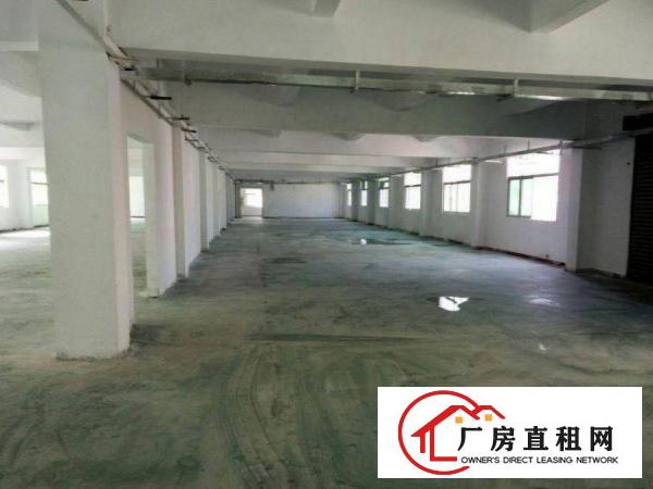  坂田楼上厂房1000平出租，交通方便，周边人气旺方便招工！