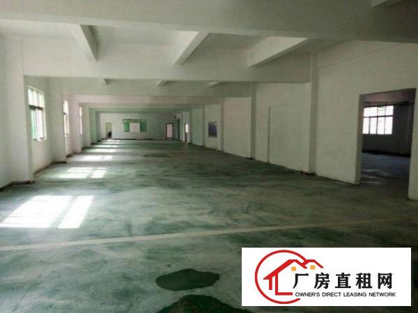  坂田楼上厂房1000平出租，交通方便，周边人气旺方便招工！