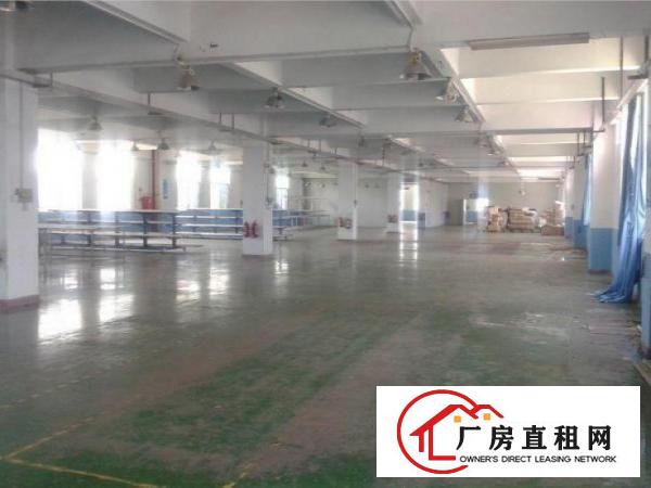  业主直租坂田一楼厂房1200平，水电齐全，无转让费用