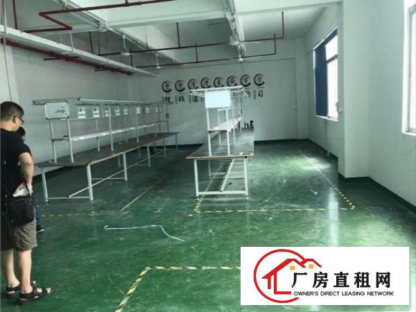  坂田一楼360平起分租，采光好，适合办公，电商