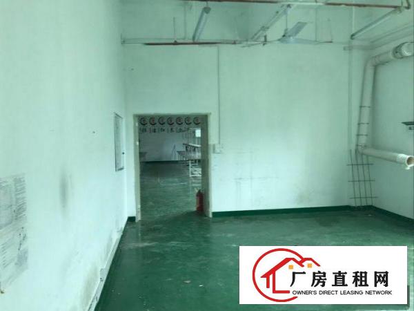  坂田一楼360平起分租，采光好，适合办公，电商