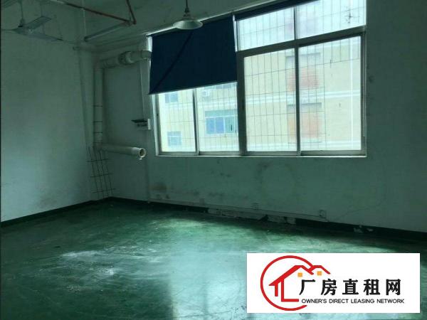  坂田一楼360平起分租，采光好，适合办公，电商