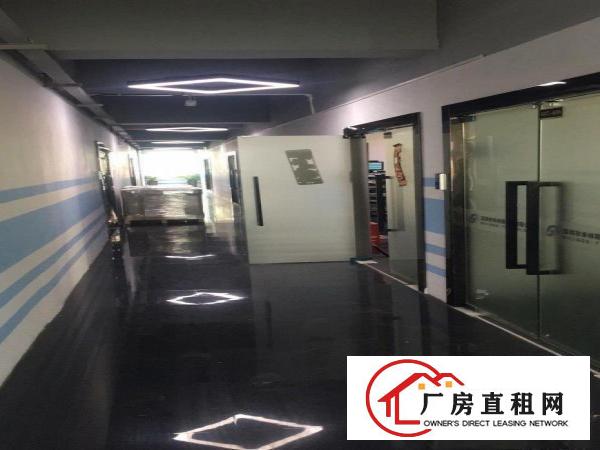  坂田岗头市场附近？环境优美！交通便利！