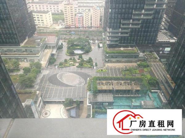  坂田天安云谷全新写字楼开发商直租