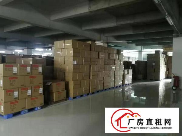  坂田天安云谷附近(原房东)现有1楼2000平厂房招租