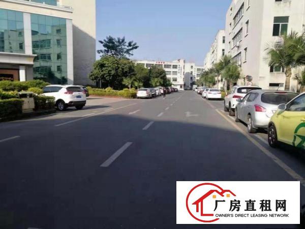  坂田天安云谷附近(原房东)现有1楼2000平厂房招租