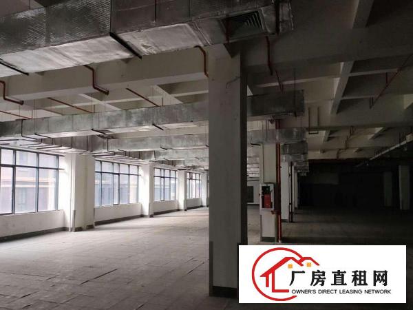  新天下华赛产业园厂房招租