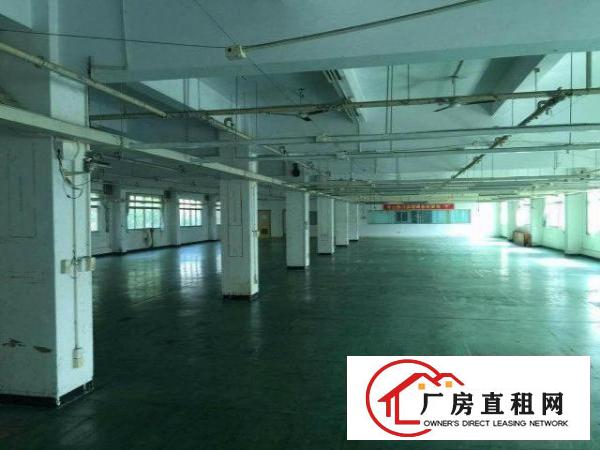  五和地铁口4楼1300平带装修适合贸易办公淘宝等