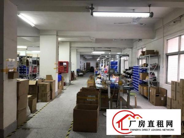  个人电商公司分组仓库400到600方。面积实用，价钱便宜
