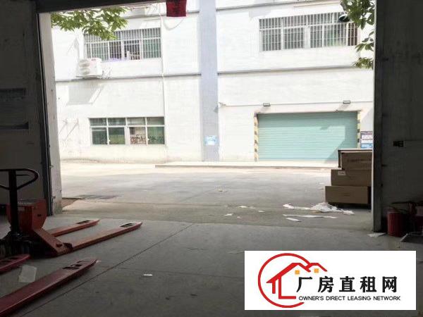  坂田新出一楼整层物流仓库