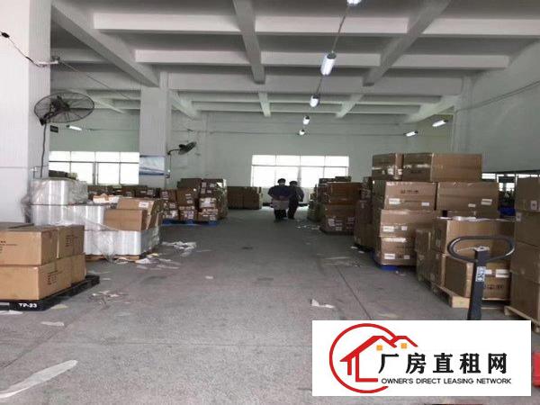  坂田新出一楼整层物流仓库